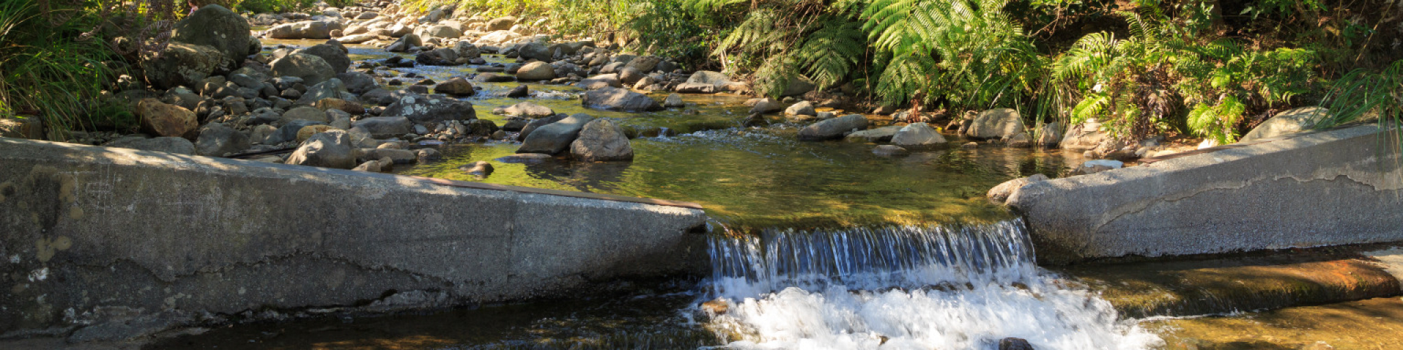 Iain Rabbitts | Principal Process Engineer